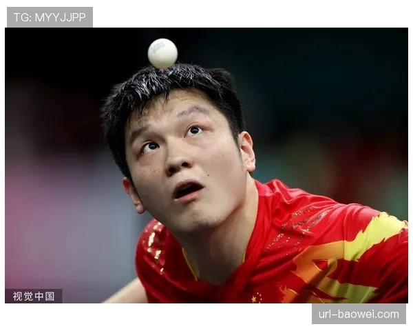 多特蒙德与乒乓球名将樊振东跨界互动，体现体育文化交融性